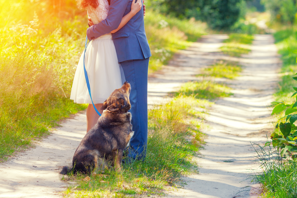 Ein Paar umarmt sich auf einem Wegesrand, davor sitzt ein brauner Hund
