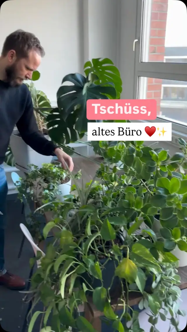 Wir haben euch etwas verschwiegen ... 🥹👉🏻👈🏻

🤯💥WIR ZIEHEN UM! ♥️
 
Nach 15 Jahren in unserem alten Bürogebäude in Norderstedt zieht es uns jetzt ein Stückchen weiter südlich in den Norden von Hamburg & wir sind schon unfassbar aufgeregt. ♥️
 
Im Hintergrund wurden in den letzten Wochen so viele Kisten mit Büchern gefüllt, Büromöbel verstaut, Pflänzchen verpackt und den Wänden auf Wiedersehen gesagt. 🥺🫶🏻 

Es ist absolut surreal, dass wir jetzt diese Räume verlassen, in denen wir all die Jahre dafür gesorgt haben, dass aus euren Geschichten und Manuskripten Bücher entstehen, die gemeinsam mit uns und euch die Welt erkunden dürfen.  🥹✨
 
Aber umso mehr freuen wir uns jetzt auf unsere neuen vier Wände, in die wir bereits nächste Woche einziehen dürfen. Und wir können es kaum abwarten, euch alles zu zeigen! 🥰♥️

Habt ihr Lust, dass wir euch ein bisschen mitnehmen? 🫶🏻
 
#goodbye #umzug #tschüüüüssnorderstedt #hallohamburg